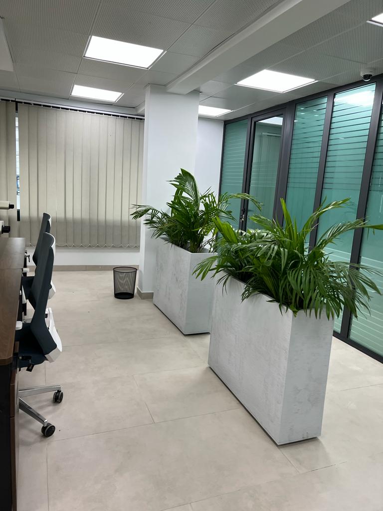 Laboratoire CERBAPATH